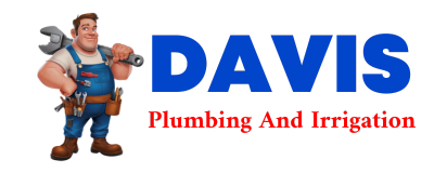 Trusted plumber in DEMING